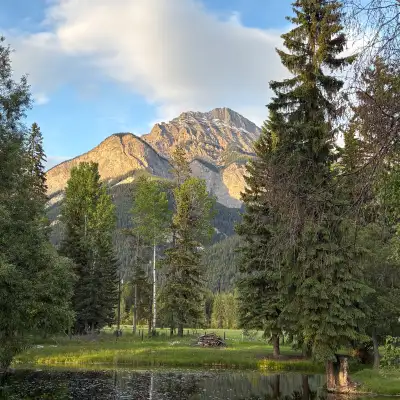 Beautiful 10 acre property with mini lake and Paris creek running through. Swim and watch the fish j...