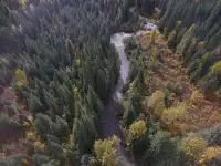 Old Camp Creek Gold claim