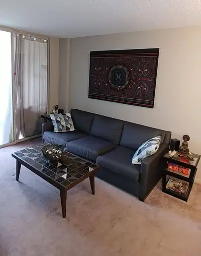 Room for female downtown $850 Hello there. Unfortunately one of our roommates is going to be spreadi...