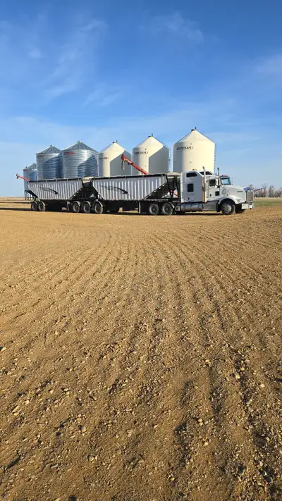 Custom grain hauling Located in Assiniboia,SK Super B trailer Looking for work in the off season of...