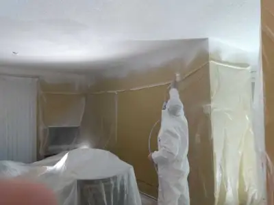 Highly Skilled Painter Available (smaller jobs welcome), View more