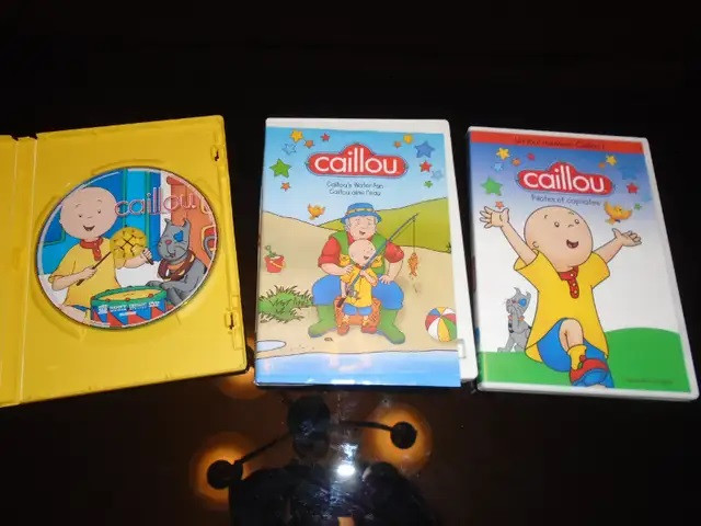 DVD : 19 Caillou et 4 coffrets De Passe-Partout 1-2-3-4 dans CD, DVD et Blu-ray  à Longueuil/Rive Sud - Image 3