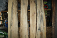 Spalted Lumber Boards
