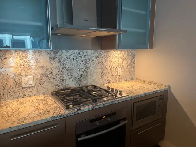 Luxury Downtown Living at Park Hyatt – North-Facing 1 Bedroom in Long Term Rentals in Vancouver - Image 9