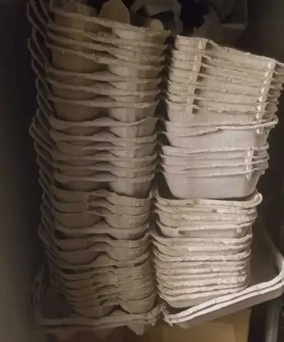 TRADE egg cartons for eggs, View more