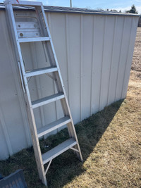 6 foot ladder 