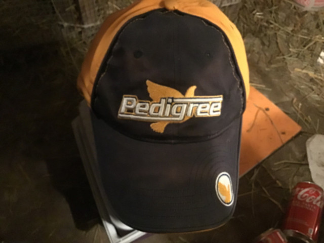 Pedigree hat one size fits all dans Autre  à Lévis - Image 2