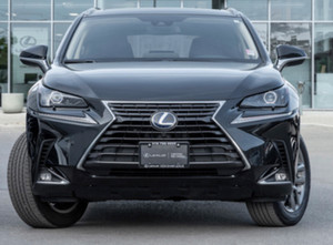 2020 Lexus NX 300h Premium Package