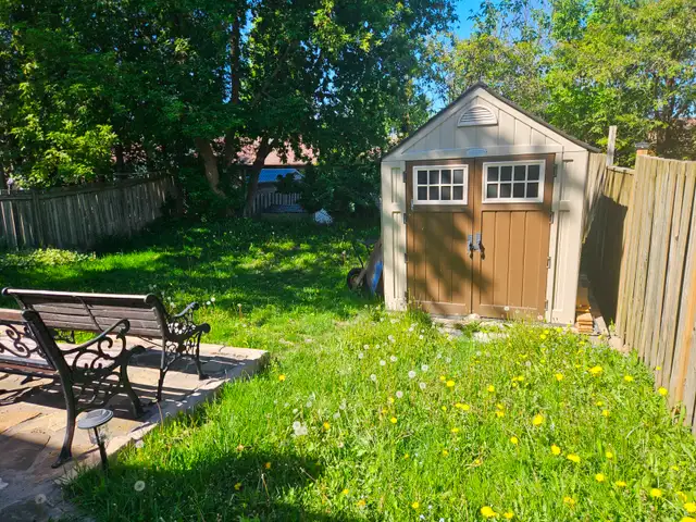 1 bedroom 1 bath walkout basement apartment in Long Term Rentals in Mississauga / Peel Region - Image 7