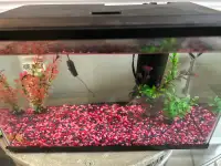 New Aquarium with everything 