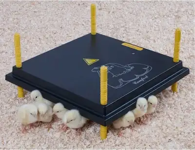 Comfort Chick Heating Plate, View more