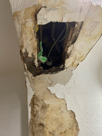 Plaster, Drywall, Repair, Taping, Painting  647-887-5703
