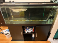 55 gallon fish tank for sale