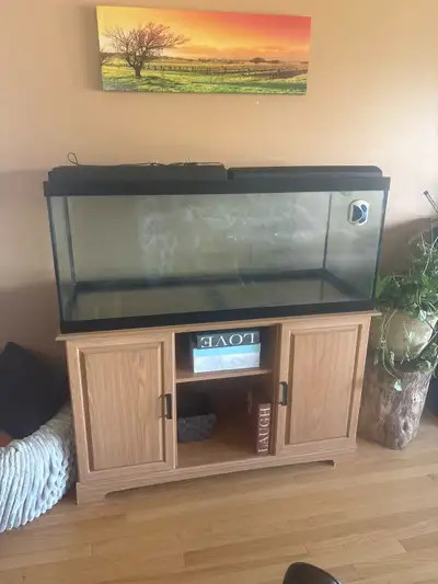Includes heaters, bubbler, filtration water fall system (with extra charcoal). Timer extension cord....