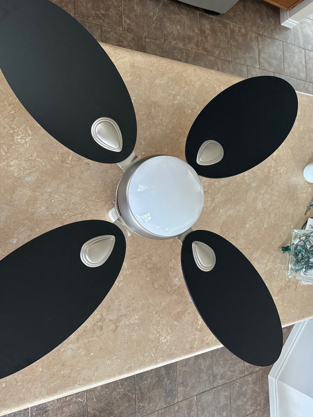 Ceiling fan with remote in Other in Norfolk County