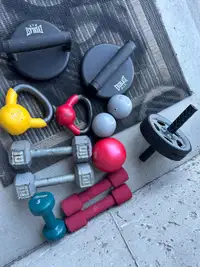 Weights and Exercise Set