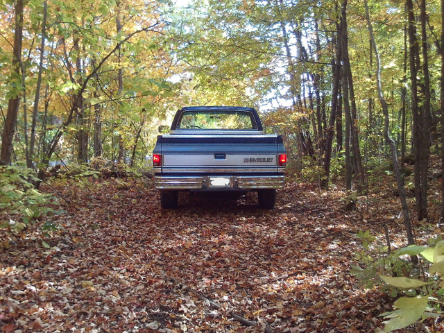 1985 Chevrolet C10 Scottsdale Square Body from Arizona in Classic Cars in Kawartha Lakes - Image 3