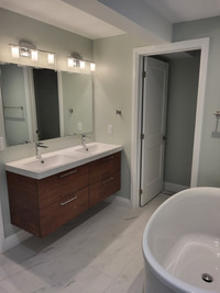 Professional full bathroom renovations and more !