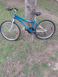 Used working avigo radiant bike for sale 