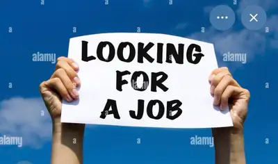 looking for a job, View more