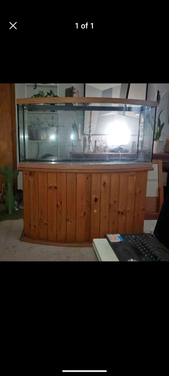 2 cages and 70 gal bow front  in Accessories in Barrie - Image 3