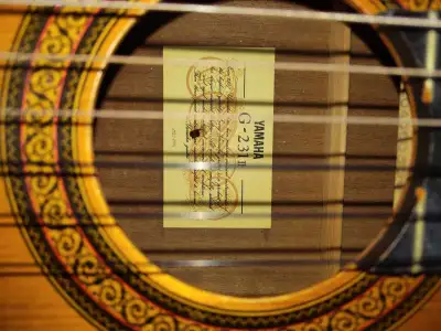 Yamaha g231 , View more