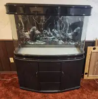 80 gallon bow-front fish tank