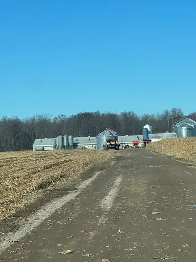 Looking for a worker for a large pig farm operation. Main duties will include pressure washing, movi...