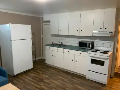 1 bedroom basement suite, utilities,W&D,wifi included