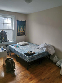 Room for Rent DT Moncton - 675 all included
