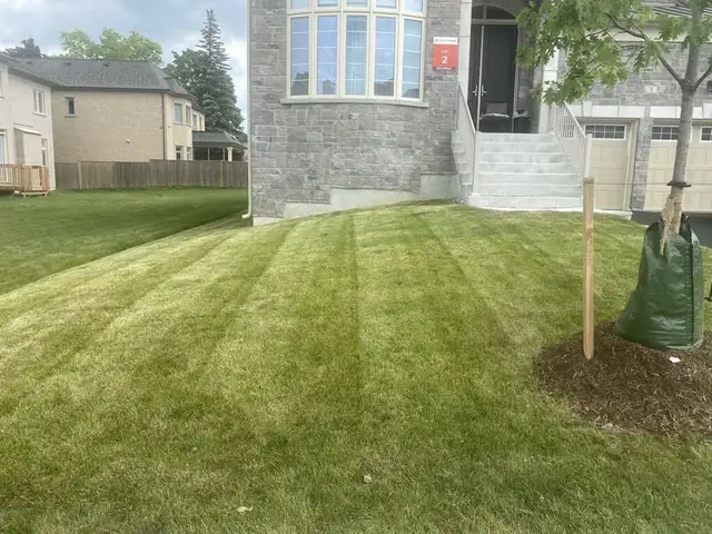 Grass cutting Lawn mowing / Lawn care / Leaf cleaning62863240794755121