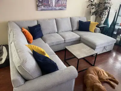This sectional is about 2 years old we paid 4500 new we will also will steam clean before pick up it...