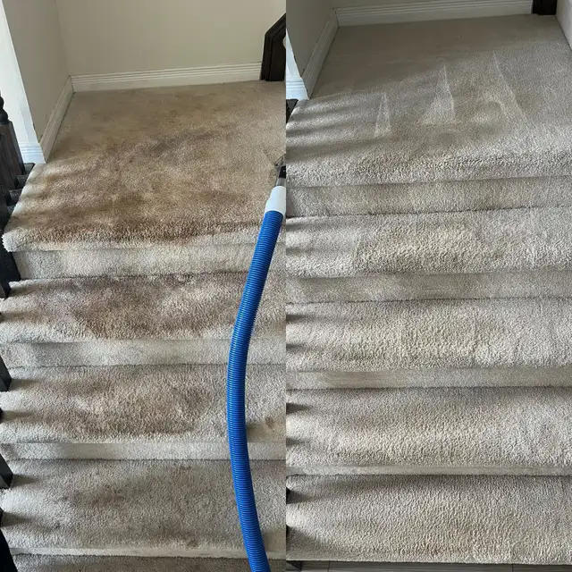 carpet, sofa, tiles and mattresses cleaning 62863717988610124
