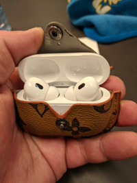 Apple air pods 2nd generation comes with Louis Vuitton case