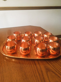 Copper trays ice bucket wine/shot & more