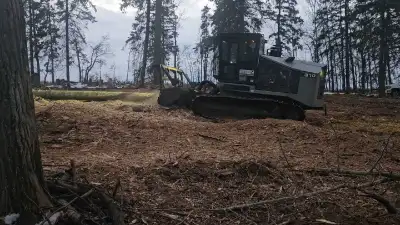 Ready to Put Your Cleared or Logged Land Into Production? We Can Help. Whether you need land cleared...