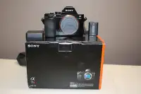 Sony a7R -Sony FE 24-70 mm f/4 Zeiss