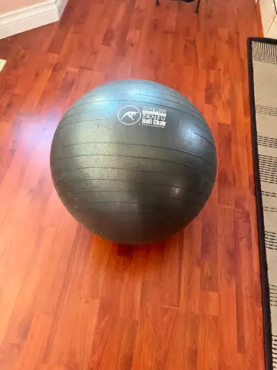 PROFESSIONAL SERIES ANTIBURST 55 cm'/ 22in ZENZU BallChair