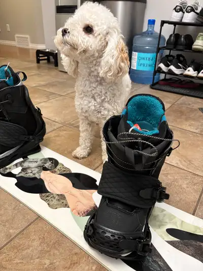 Woman's Snowboard and Boots, View more