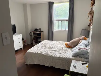 1 bedroom apartment located in the south end for rent September 1st - November 1st with year lease r...