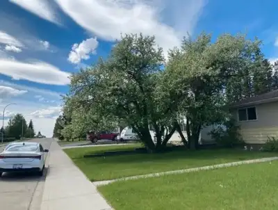 Room for rent in Quiet Cul de Sac in Edson, Alberta