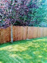 Wood fence and post holes