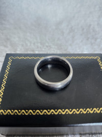 Titanium Wedding Band : men’s size 8