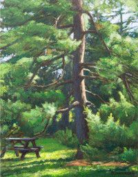 Pine. Acrylic on canvas. 14 X 18 in. (35.5 X 45.7 cm.)