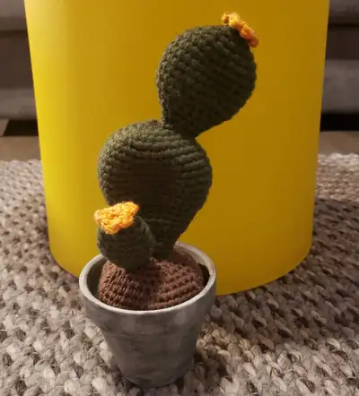 Handmade crochet cactus decor amigurumi / Cactus au crochet, View more
