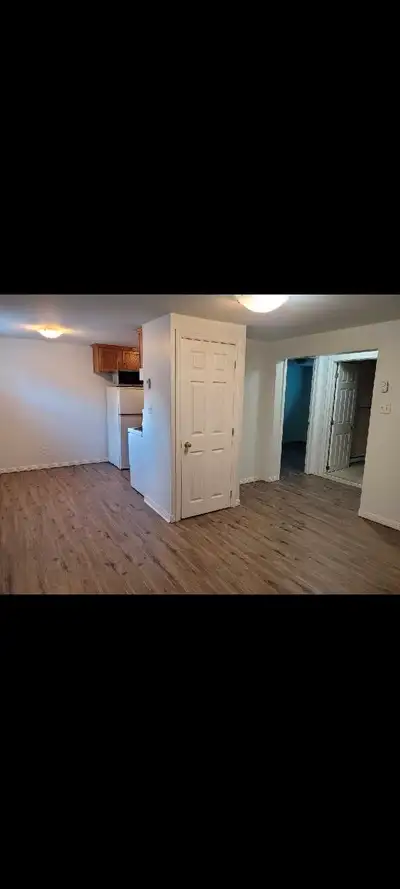 One bedroom bsmnt apt for rent- read details
