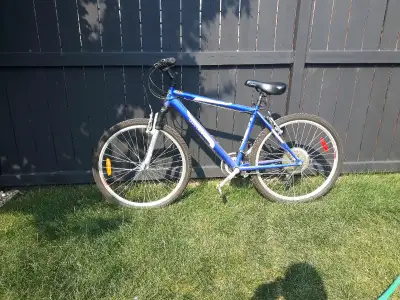 21 speed infinity bike. Canadian built. New tires