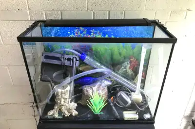 40 Gallon Fish Tank Complete Setup, View more