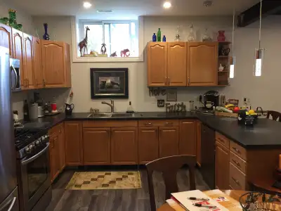 Two bedroom basement apartment with 9 foot ceilings with plenty of natural light. Large open concept...