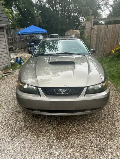 I have a 2002 Ford Mustang GT. 5 speed I believe it has 250,000 on it maybe more I’m not too sure be...